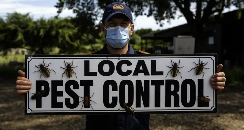 Pest control services in El Cajon (92020), PA